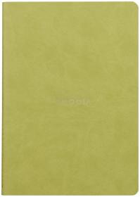 116456C Rhodia Rhodiarama Sewn Spine Notebook - Anise
