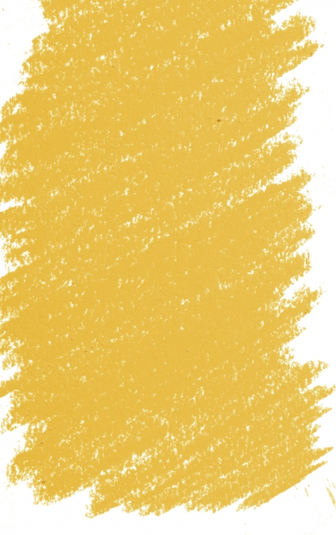 12122BXCCapucine Yellow 4 Swatch