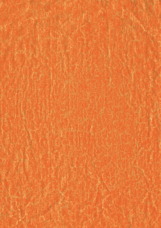 FDA466O Decopatch Papers