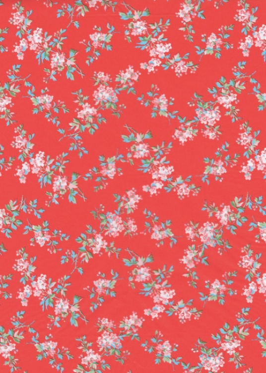 FDA658O Decopatch Papers