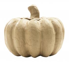 BT033O Pumpkin 2