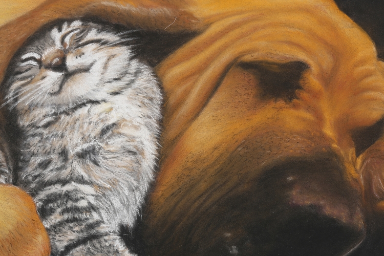 Clairefontaine_Pastelmat_Anthrocite_7C