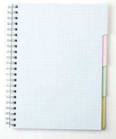 8139 Clairefontaine Wirebound Multiple Subjects Notebook - Interior