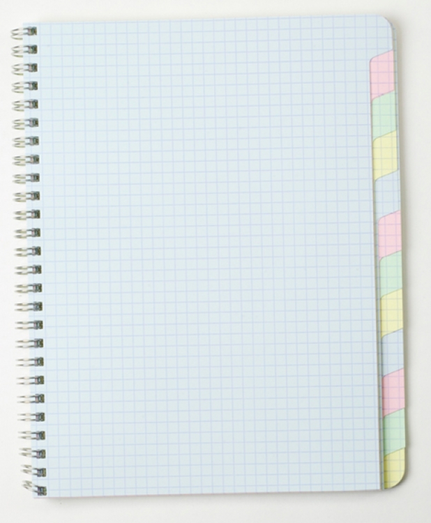 Clairefontaine Wirebound Multiple Subjects Notebook - Interior