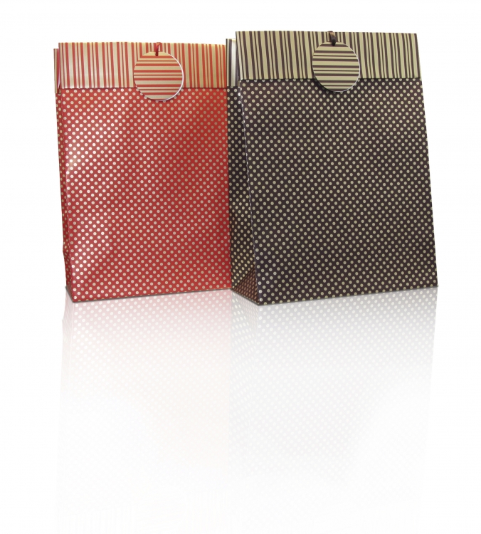 Recto Verso Gift Bag - Medium
