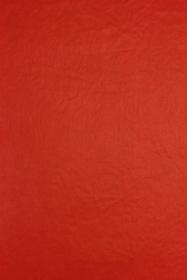 Red Tissue Paper