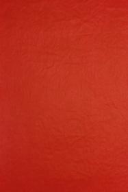 Red Tissue Paper