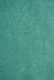 Green Tissue Paper