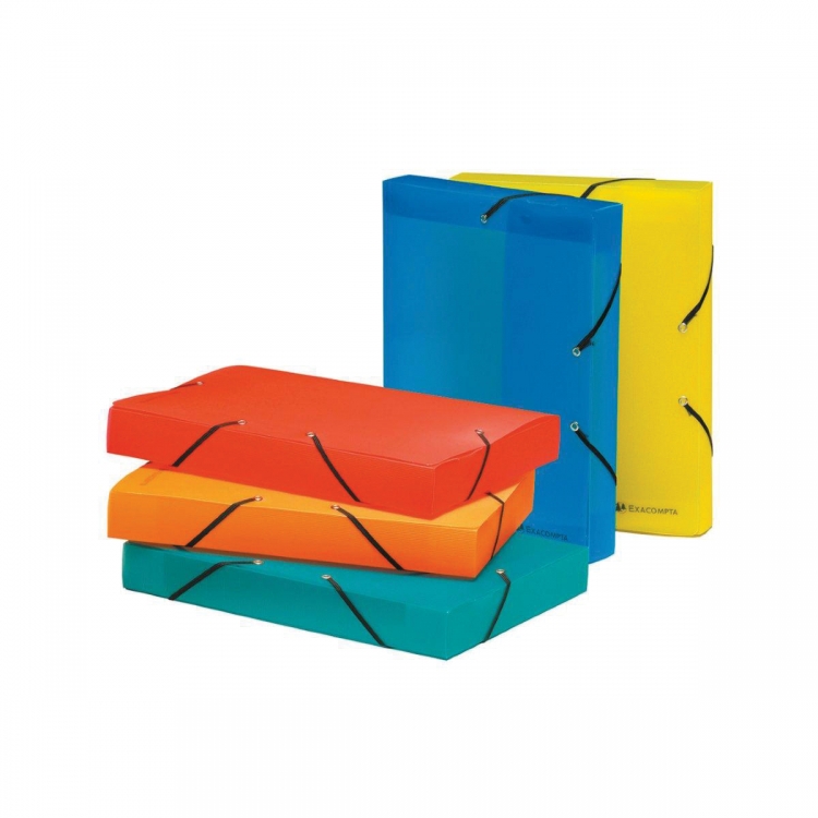 5977 Exacompta Polypro File Box - Linicolor