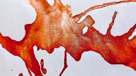 15556JT Herbin 1798 Anniversary Ink - Ambiance 12