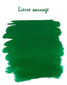 11537T Lierre Sauvage