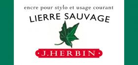 13037T Lierre Sauvage 