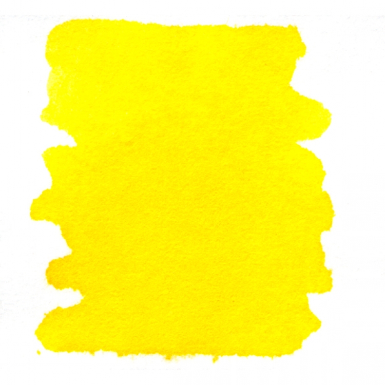 bouton d'or 53