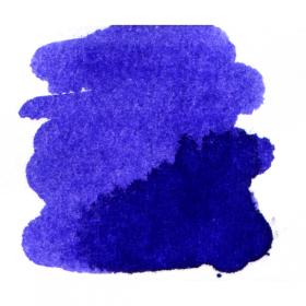 violette pensee 77