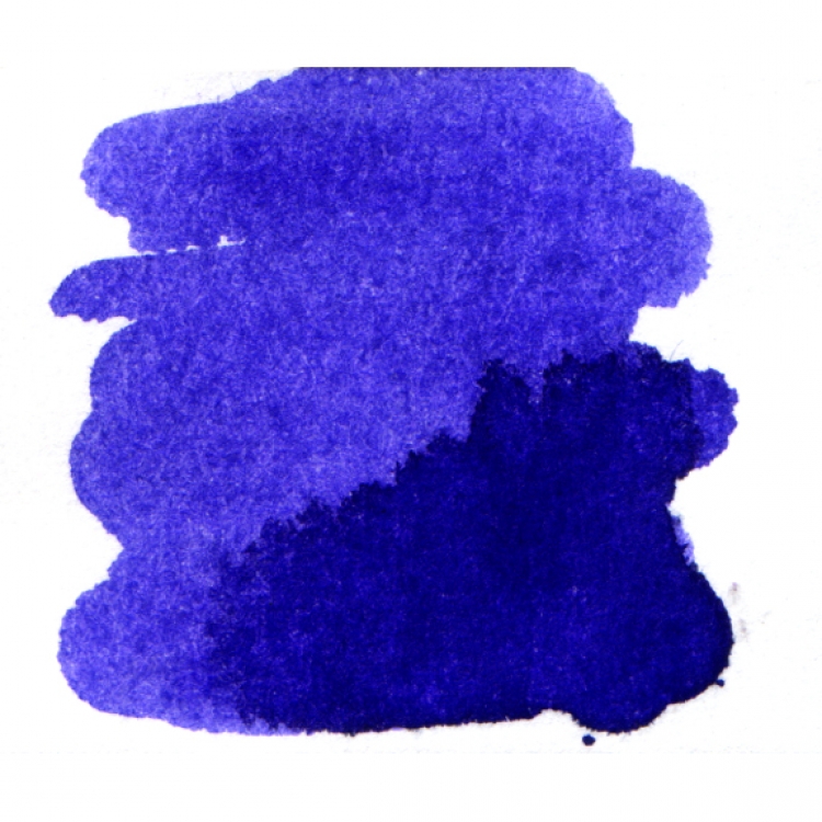 violette pensee 77