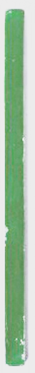 31031T Light Green