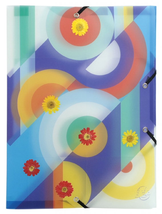 e55821_pop_art_flowers_3