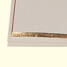496xxborderpaperdetail
