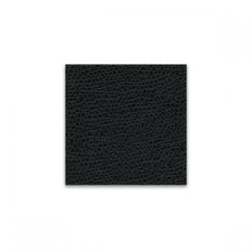 Club Black swatch