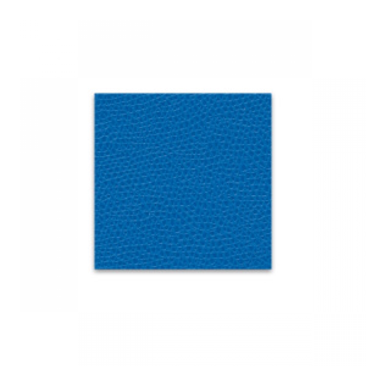Club Blue swatch
