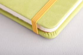 Rhodia Rhodiarama Hardcover Notebooks Elastic Band Detail