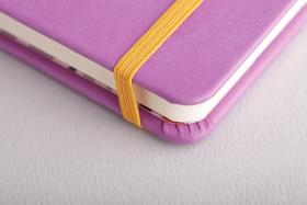 Rhodia Rhodiarama Hardcover Notebooks Elastic Band Detail