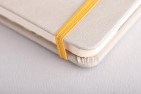 Rhodia Rhodiarama Hardcover Notebooks Elastic Band Detail