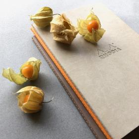 Rhodia_Rhodiarama_Sewn_Spine_Notebooks_Group_2