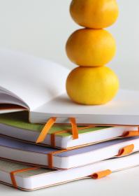 Rhodia_Rhodiarama_SoftCover_Goalbook_Group_1