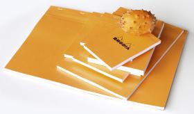 Rhodia_Staplebound_Notepad_Orange_Group_2