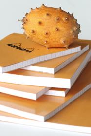 Rhodia_Staplebound_Notepad_Orange_Lined_Group_2