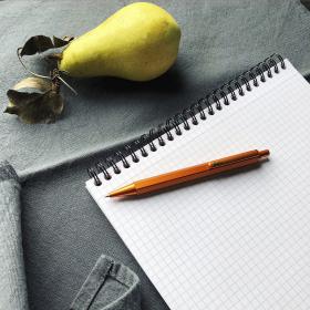 Rhodia_Wirebound_Notepad_Graph_1
