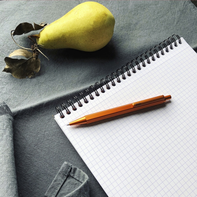 Rhodia_Wirebound_Notepad_Graph_1