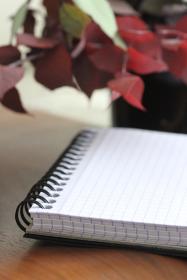Rhodia_Wirebound_Notepad_Graph_2