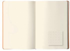 Dot WebNotebooks Detail