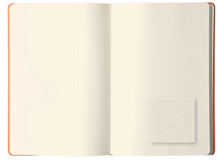 Dot WebNotebooks Detail